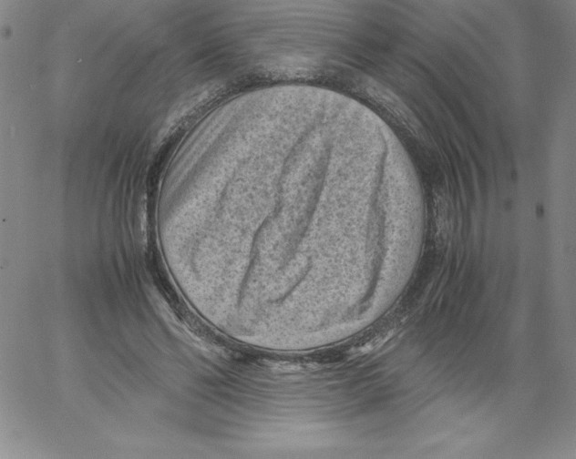 X0000066960494200604211845