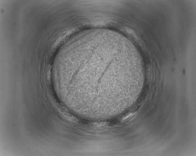 X0000066960495200604211845