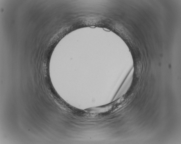 X0000066960497200604211845