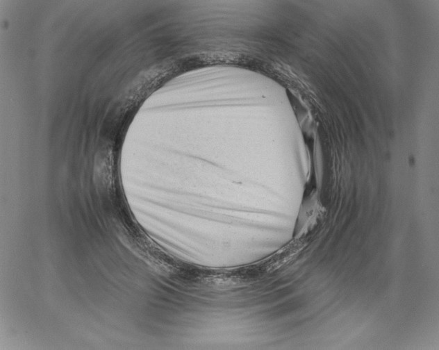 X0000066960498200604211845