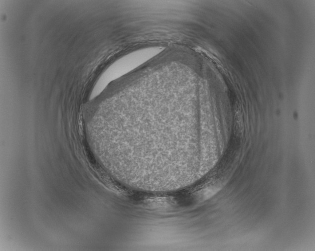 X0000066960499200604211845