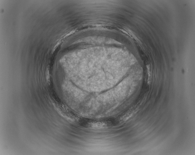 X0000066960500200604211845