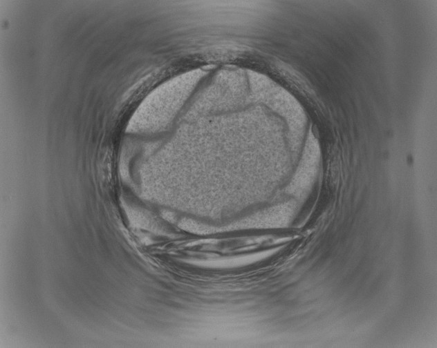 X0000066960501200604211845