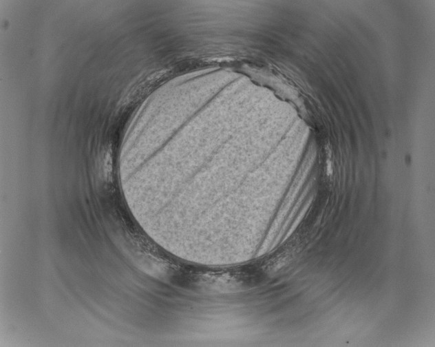 X0000066960502200604211845