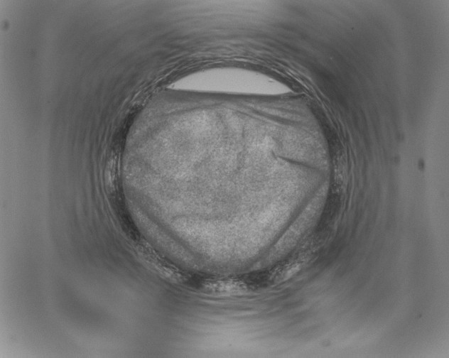 X0000066960503200604211845