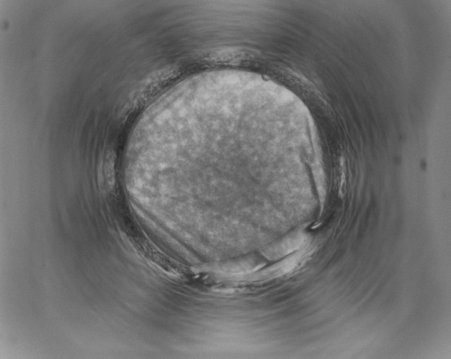 X0000066960504200604211845