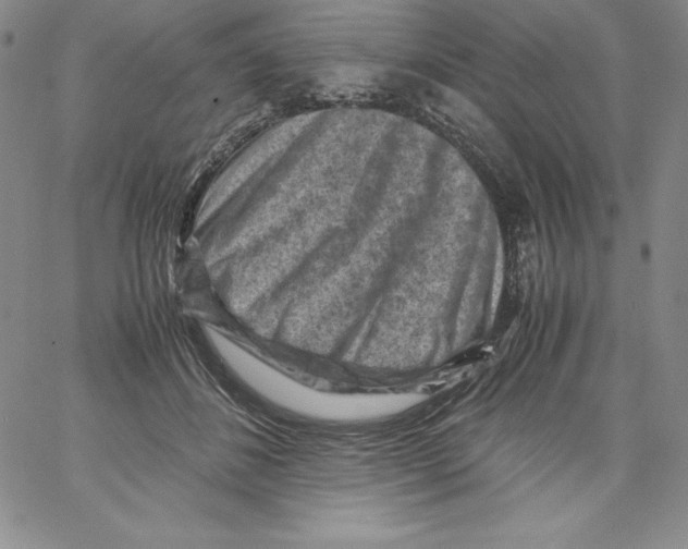 X0000066960508200604211845