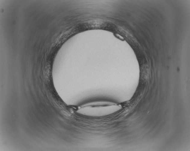 X0000066960509200604211845