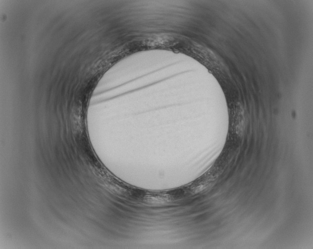 X0000066960510200604211845