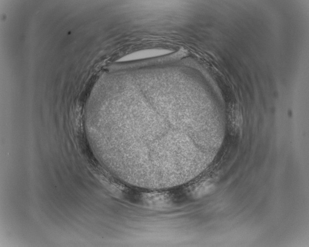 X0000066960511200604211845