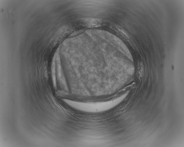 X0000066960512200604211844