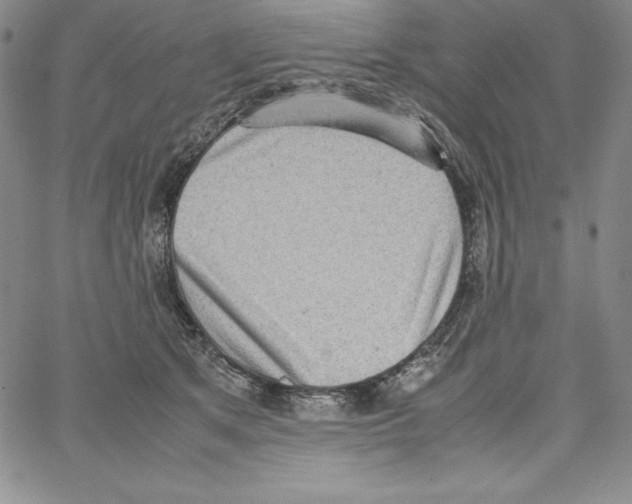 X0000066960513200604211844