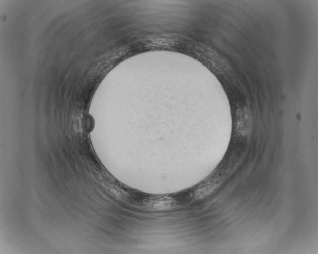 X0000066960514200604211844