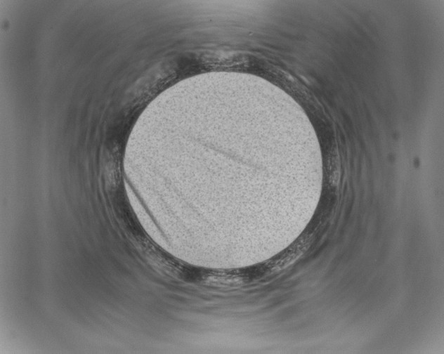 X0000066960515200604211844