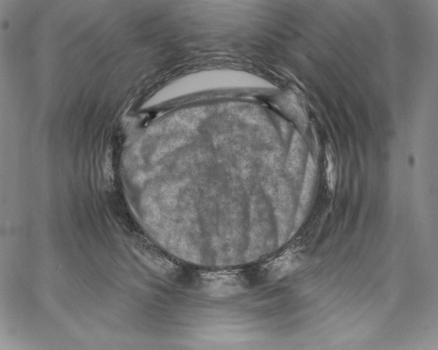 X0000066960516200604211844