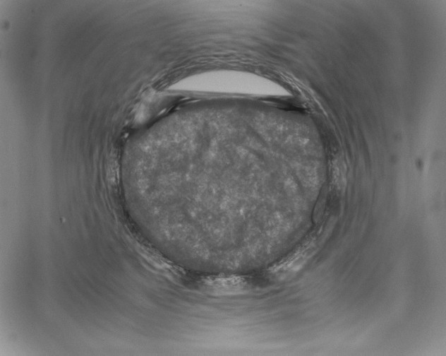 X0000066960517200604211844