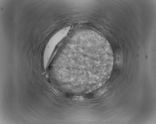 X0000066960519200604211844