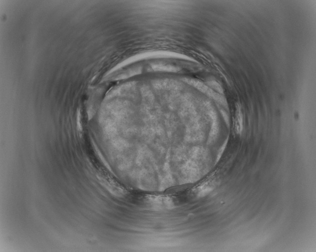 X0000066960520200604211844