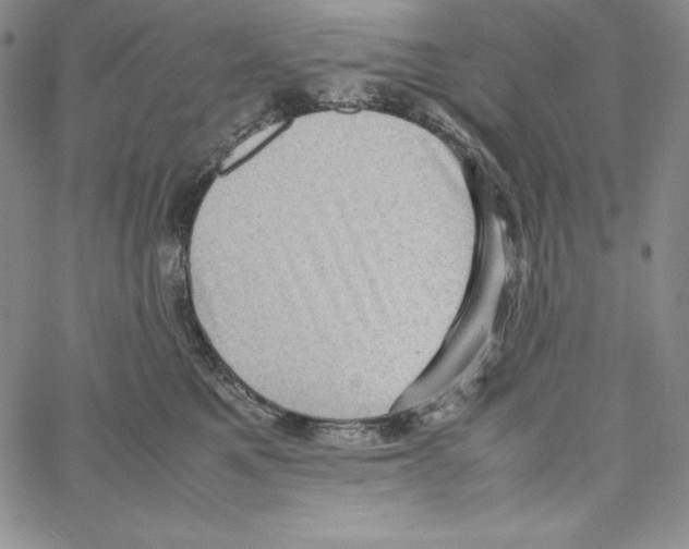 X0000066960521200604211844