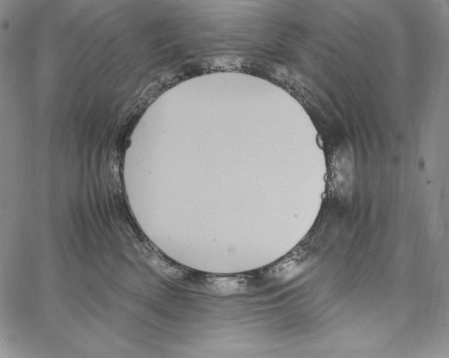 X0000066960522200604211844