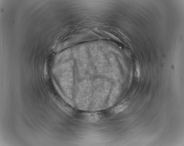 X0000066960524200604211844