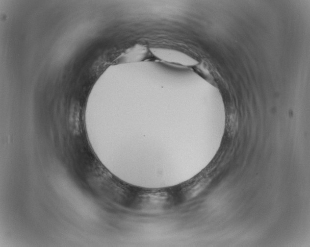 X0000066960525200604211844