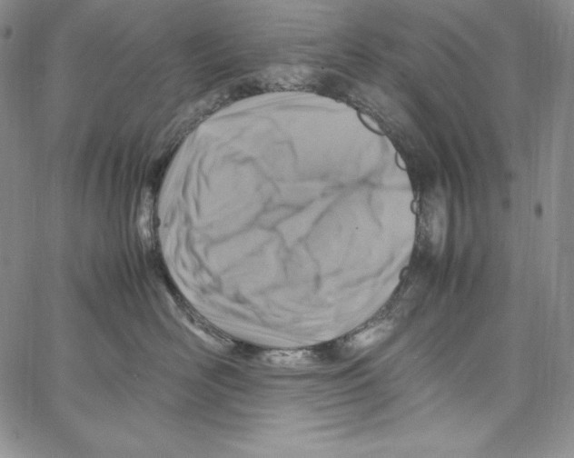 X0000066960526200604211844