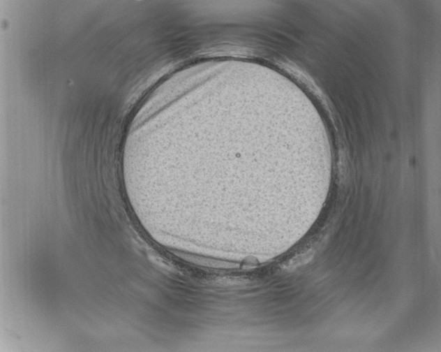 X0000066960529200604211843