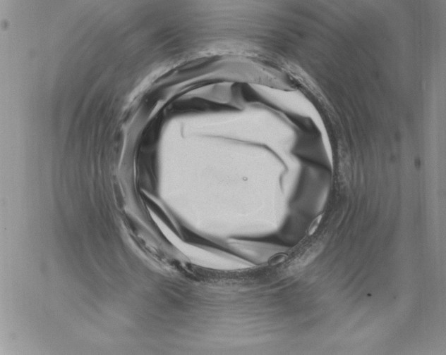 X0000066960530200604211843