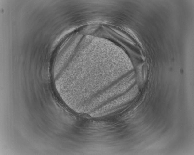 X0000066960531200604211843