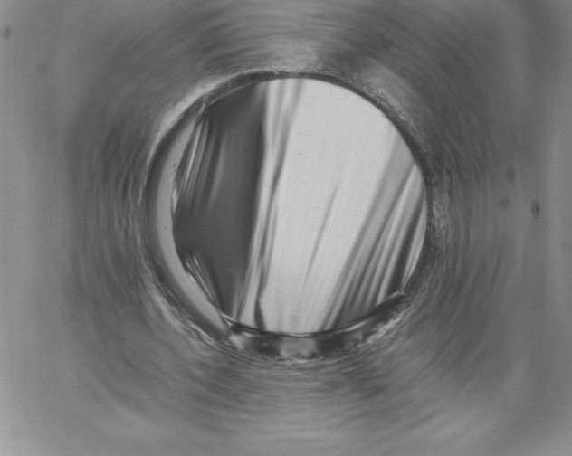 X0000066960532200604211844