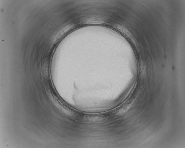 X0000066960533200604211844