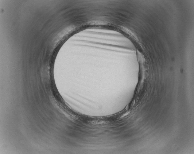 X0000066960535200604211844