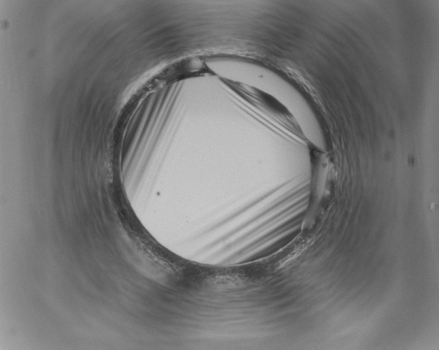 X0000066960536200604211844