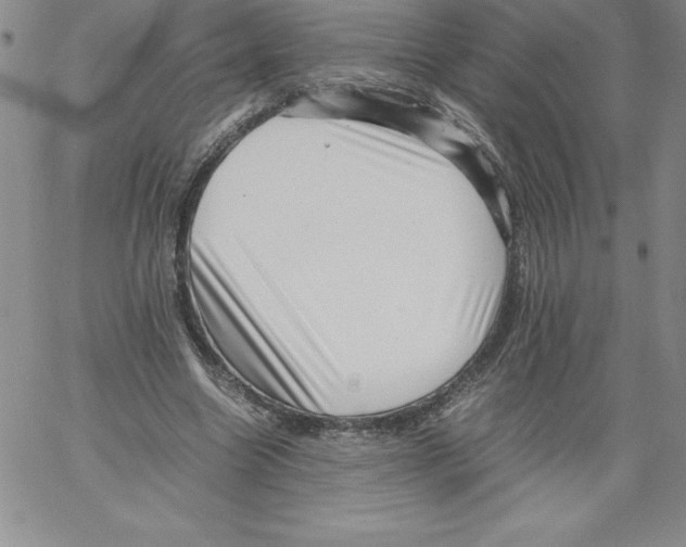 X0000066960538200604211844