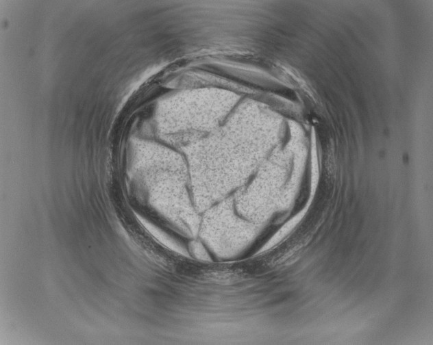 X0000066960540200604211844