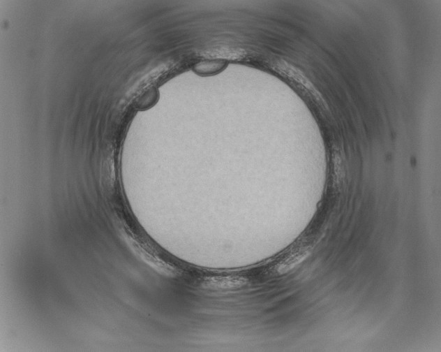 X0000066960541200604211844