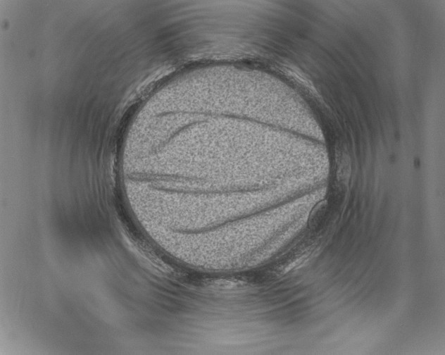 X0000066960542200604211844