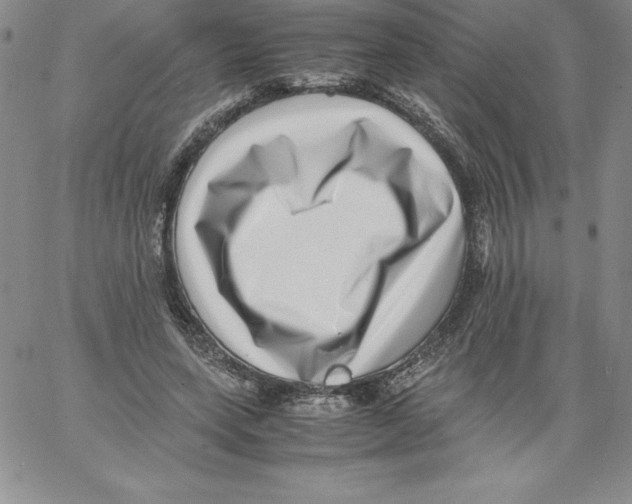 X0000066960543200604211844