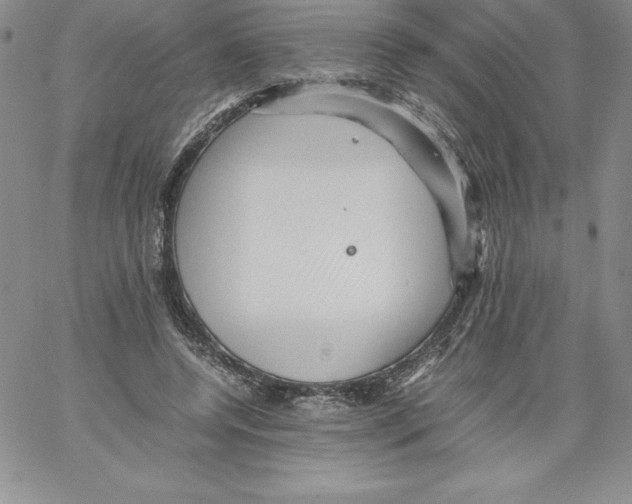 X0000066960544200604211844