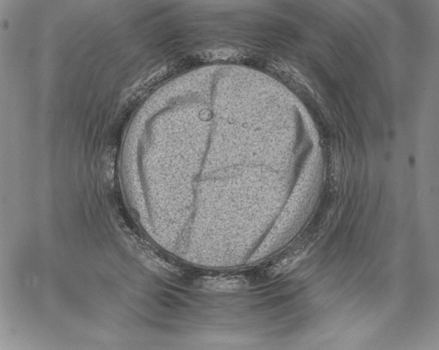 X0000066960545200604211844