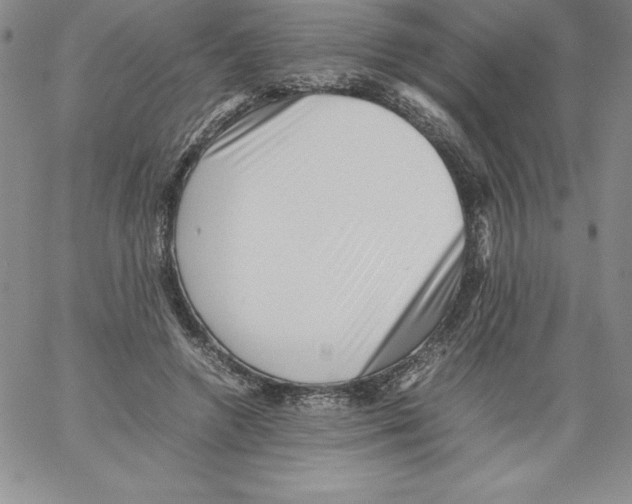 X0000066960546200604211844