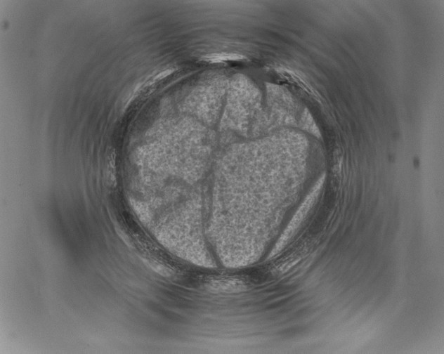 X0000066960547200604211844