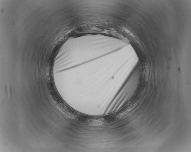 X0000066960548200604211844