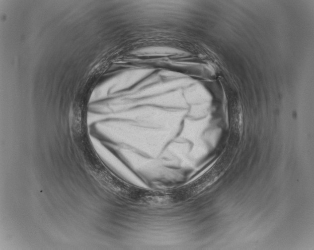 X0000066960552200604211844