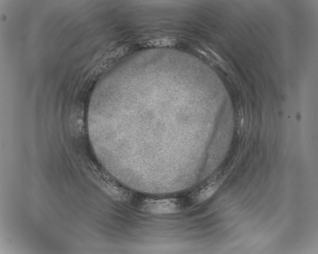 X0000066960553200604211844