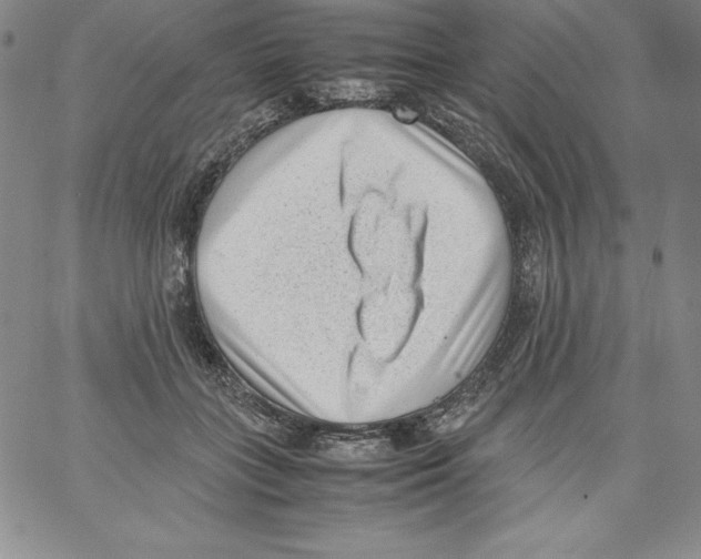 X0000066960555200604211844