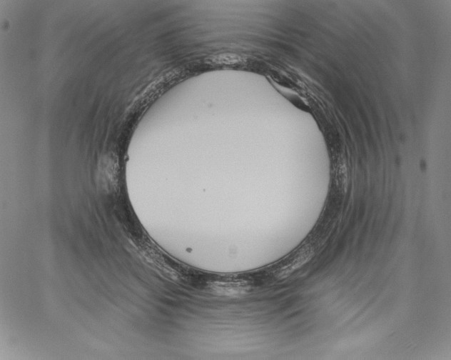 X0000066960556200604211844