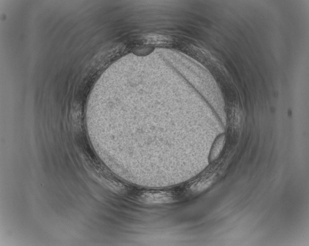 X0000066960557200604211844