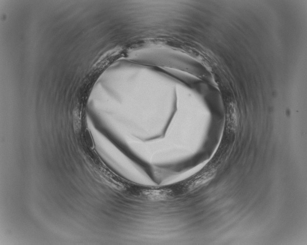 X0000066960558200604211844